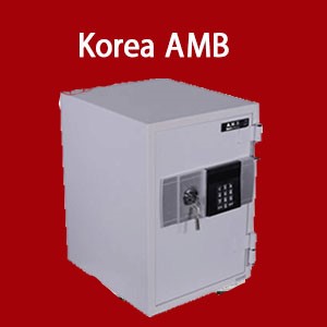 Korea AMB (23)